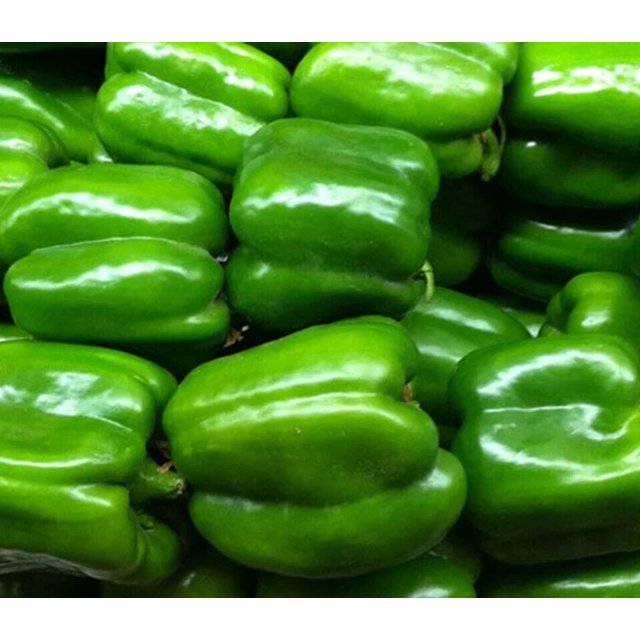 GREEN BELL PEPPER SEEDS 30+ Keystone Resistant Giant SWEET PEPPER FREE