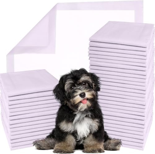 Buyockss Disposable Underpads 100 Count Changing Pad Liners 13 X 18 Inch Chucks Waterproof Bed Pads