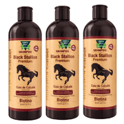 Black Stallion Premium Shampoo 3-Pack Cola de Caballo & Biotin Hair Volumizing Shampoo Strengthening & Cleansing 33.8 fl oz Each 1 L Green Royalty