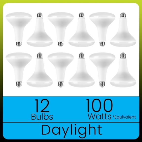 Green Watt BR40 LED Flood Light Bulbs, 17W (100W Equivalent), Daylight White, E26 Medium Base, Dimmable (12-Pack)
