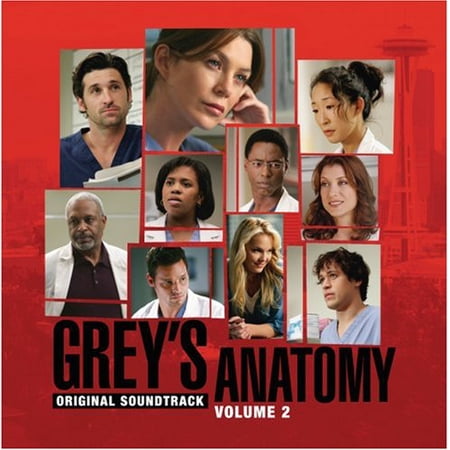 GREY'S ANATOMY, VOL. 2