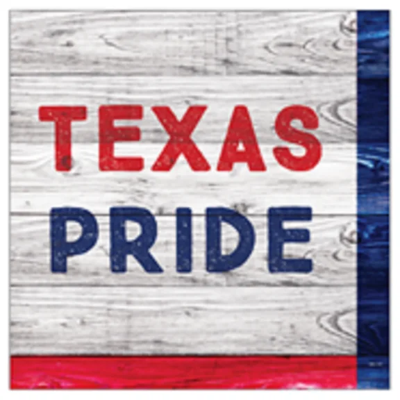 GRIND- True Texan Texas Flag Usa Patriotic Theme Party Paper Beverage Napkins