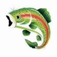 thumbnail image 1 of GRIND- Xl 29" Rainbow Trout Super Shape Mylar Foil Balloon Fishing Party Decoration, 1 of 1