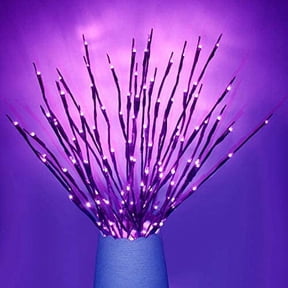 GRNSHTS 20 LED Branch Lights Battery Powered Decorative Lights Willow Twig Lighted Branch for Home Decoration (Purple)