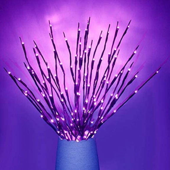 GRNSHTS 20 LED Branch Lights Battery Powered Decorative Lights Willow Twig Lighted Branch for Home Decoration (Purple)