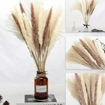 GRNSHTS 60Pcs Natural Dried Pampas Grass - 15 Pcs Cream White Pampas & 15 Pcs Brown Pampass & 30 Pcs Reed Grass Fluffy Stems Dry Pompous Bouquets for DIY Wedding Home Decor