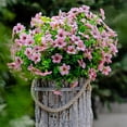thumbnail image 1 of GRNSHTS Artificial Flowers for Outdoors Fake Plants - 8 Bundles Faux Outside Greenery Boxwood No Fade Plastic Shrubs Fall Decor Farmhouse Home Garden Christmas, 1 of 9