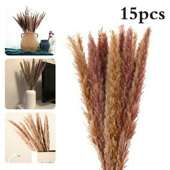 GRNSHTS Dried Pampas Grass Plumes 15 Pieces 17 Inch Tall Natural Dried Plants Artificial Faux Reed Flower Stems Bunch for Wedding Arrangements Vase Door Wreath Decoration