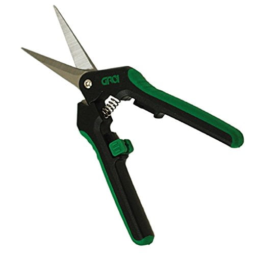 Grow1 Titanium Trimming Shears