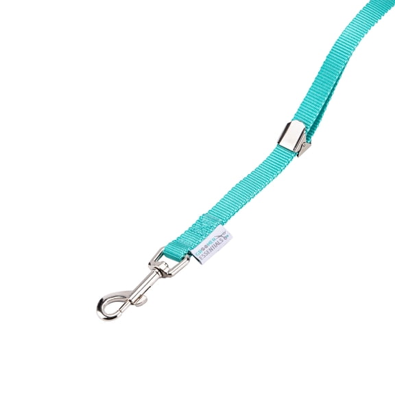 Groomer Essentials 22 in Grooming Loops in Turquoise