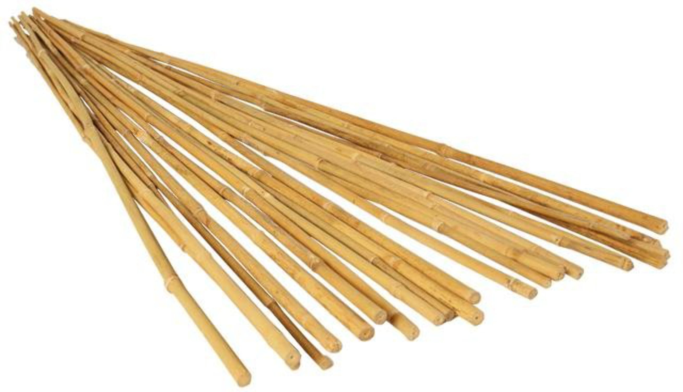 6' Natural Bamboo Garden Support Stakes, Pack of 25
