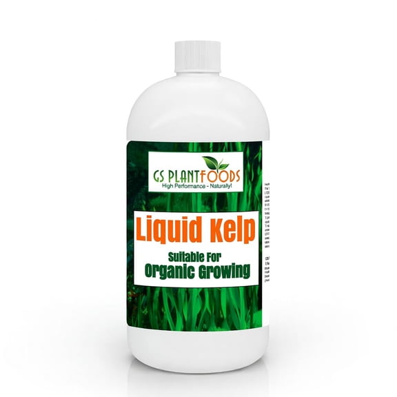 GS Plant Foods Liquid Kelp Fertilizer Suitable for Organic Growing, OMRI Listed Seaweed Concentrate for Flowers, Gardens, Vegetables & Soil - 1 Quart (Makes Up to 200+ Gallons)