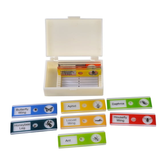 Prepared Microscope Slide Set of Insects. Set of 10 Plastic Slides
