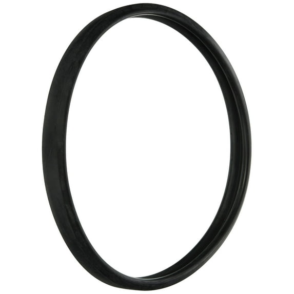 Hayward SPX0503W Special Hi-Temperature Lens Gasket Replacement for Hayward Underwater Lights
