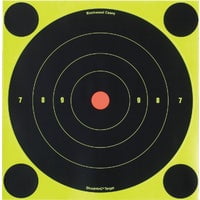 GSM Outdoors Birchwood Casey Shoot-N-C 8-Inch Bulls-Eye Target - Pack of 2
