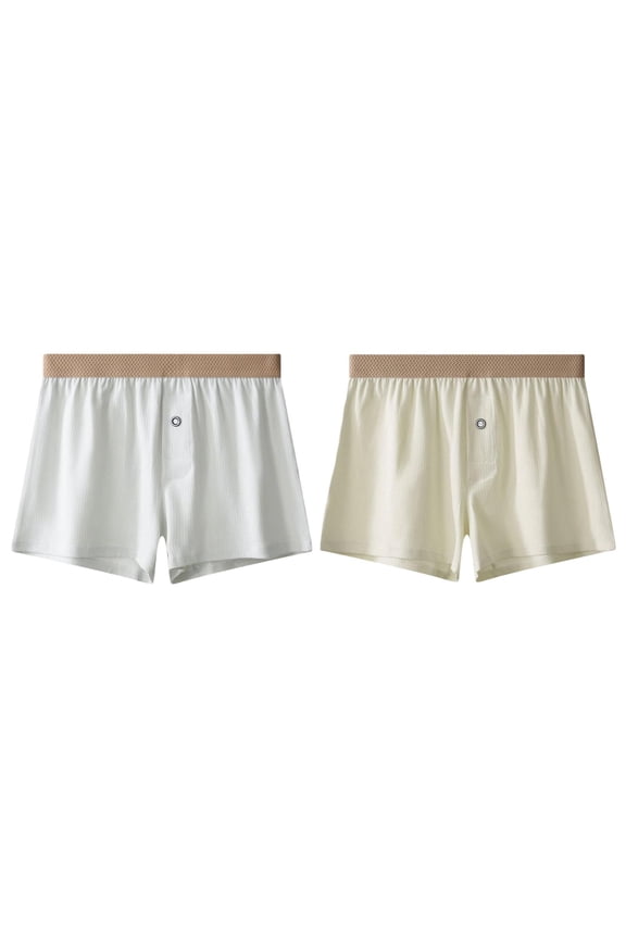 Men's 2-Pack Boxer Briefs Breathable Loose Fit Underpants Underwear Boxer Briefs for Office Work
