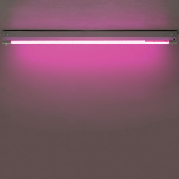 GT-Lite 48-inch LED T8 Bulb Grow Light, Type A+B Electronic Ballast Compatible, 6-Pack