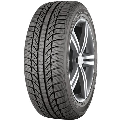 BSW Fits: Tires) 225/55R16XL Winterpro 99H (2 2004-07 Mustang Champiro Base, CTS GT Ford 2001 Cadillac Radial Base