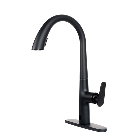 GT Single Handle Gooseneck 16.14 in. Pull Down Sprayer Kitchen Faucet ...