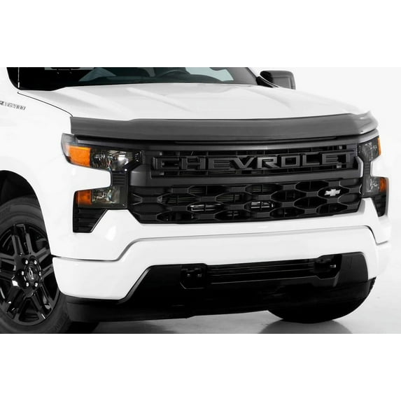 GT Styling 70730X Bug Shield