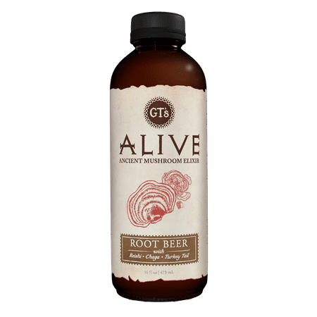 GT's Alive Root Beer, 16 fl oz