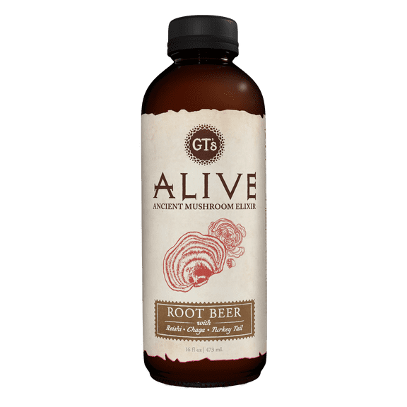 GT's Alive Root Beer, 16 fl oz