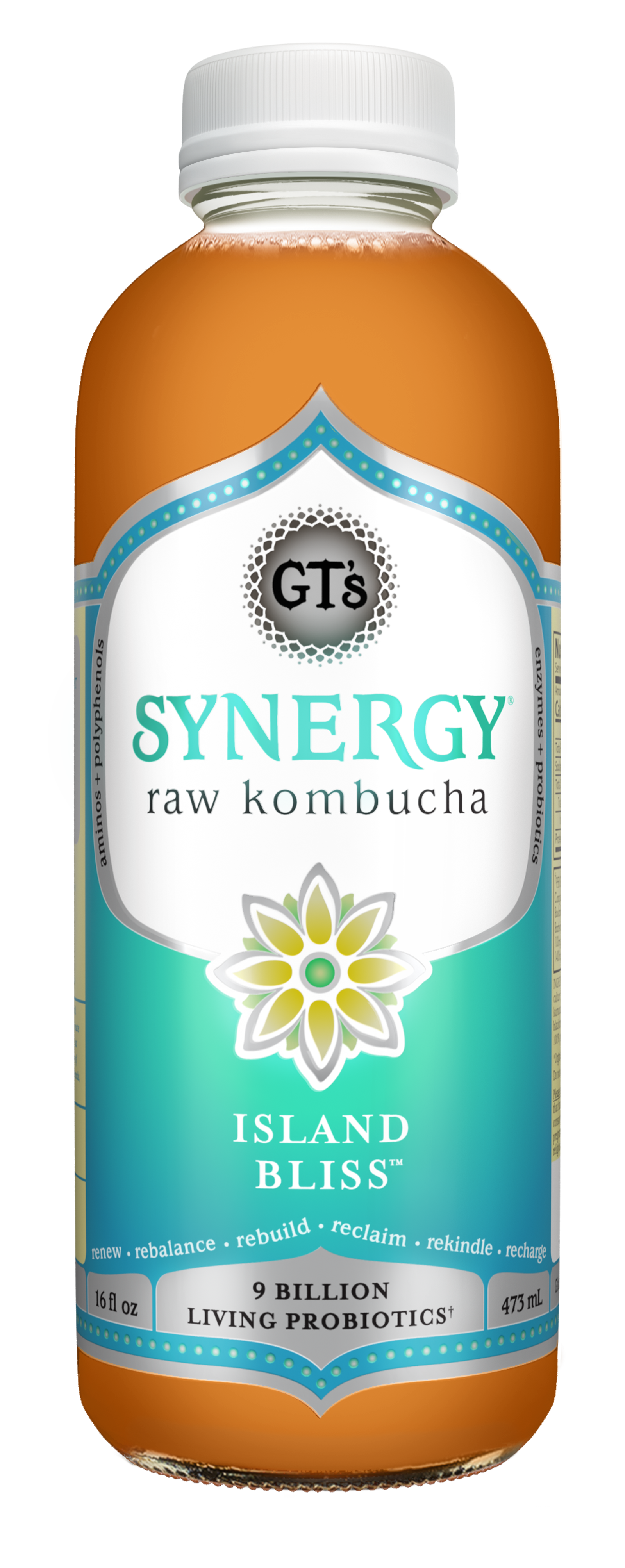 GT's Synergy Kombucha Organic Island Bliss, Refrigerated, 16 fl oz - image 1 of 5