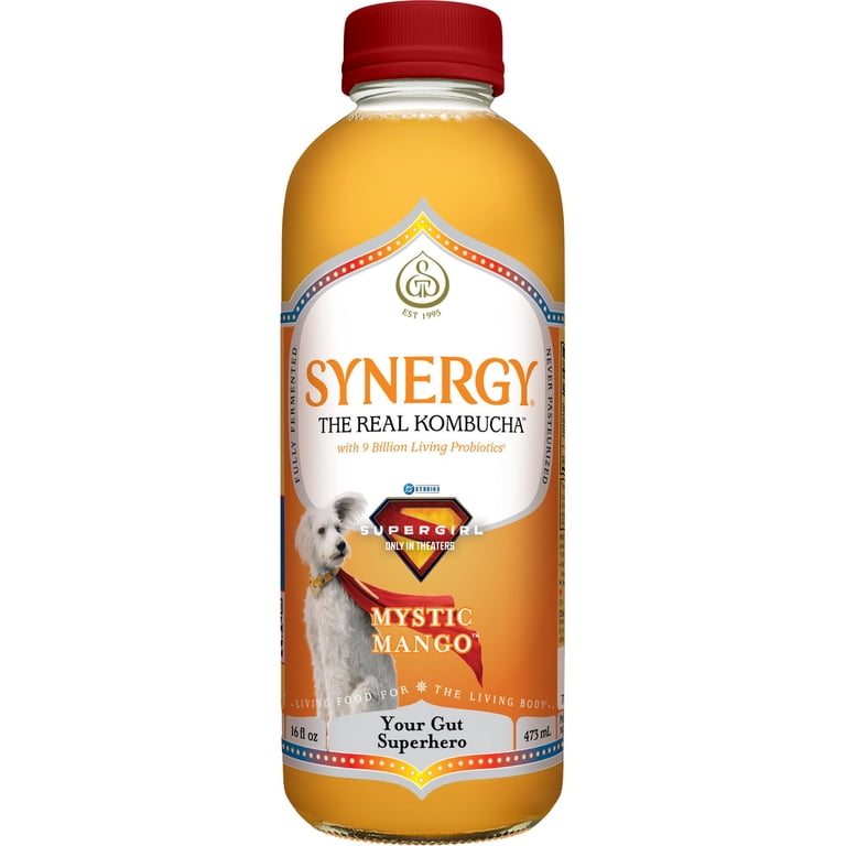 GT'S Synergy Organic Mystic Mango Kombucha, 16 Fl. Oz. - Walmart.com