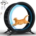 thumbnail image 1 of GTPLAYER 40" Metal Cat Exercise Wheel, Ultra-Quiet Cat Treadmill with Safety Latch for Indoor Cats, Heavy Duty Pet Running Wheel, Dark Black, 1 of 8