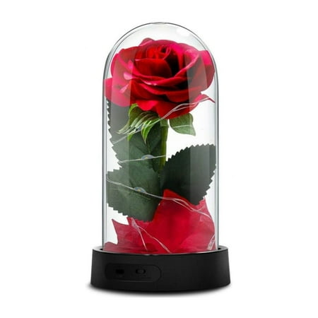 GUCHO Beauty and the Beast Rose Light,Rose Flower Gifts for Women Valentine's...