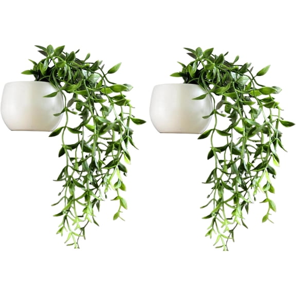 GUENG 2Pcs Artificial Hanging Plant Fridge Magnets, 3D Fake Vine Succulent Decor Magnets for Fridge Whiteboard Locker Office (B)