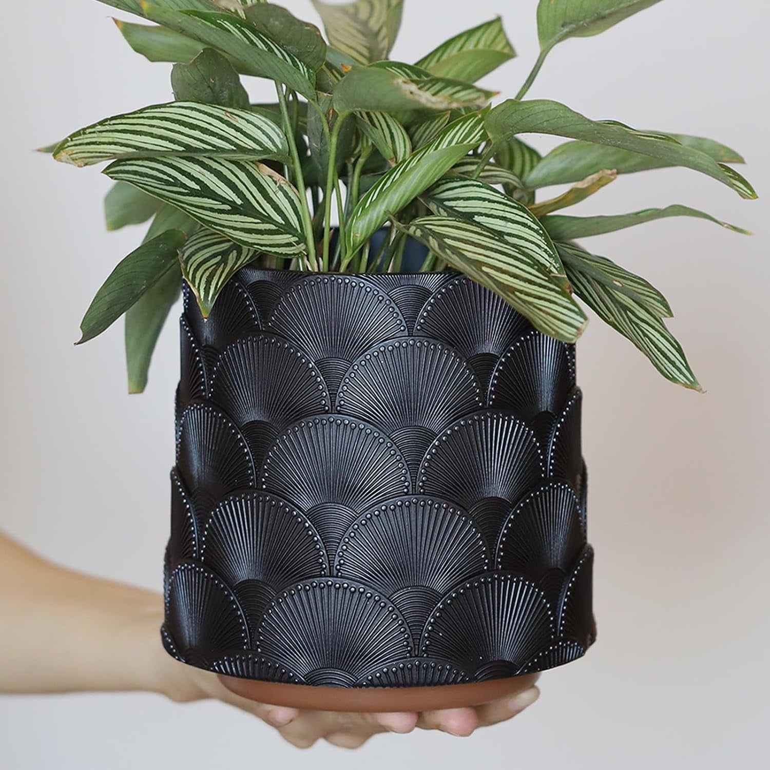 GUGUGO Pearl Black Scale Planter, Cute Unique Plant Pot with Drainage, Eclectic Colorful Small Flower Planters Pots for Indoor & Outdoor Plants, Rainbow Funny Succulent Gardening Pot Gifts