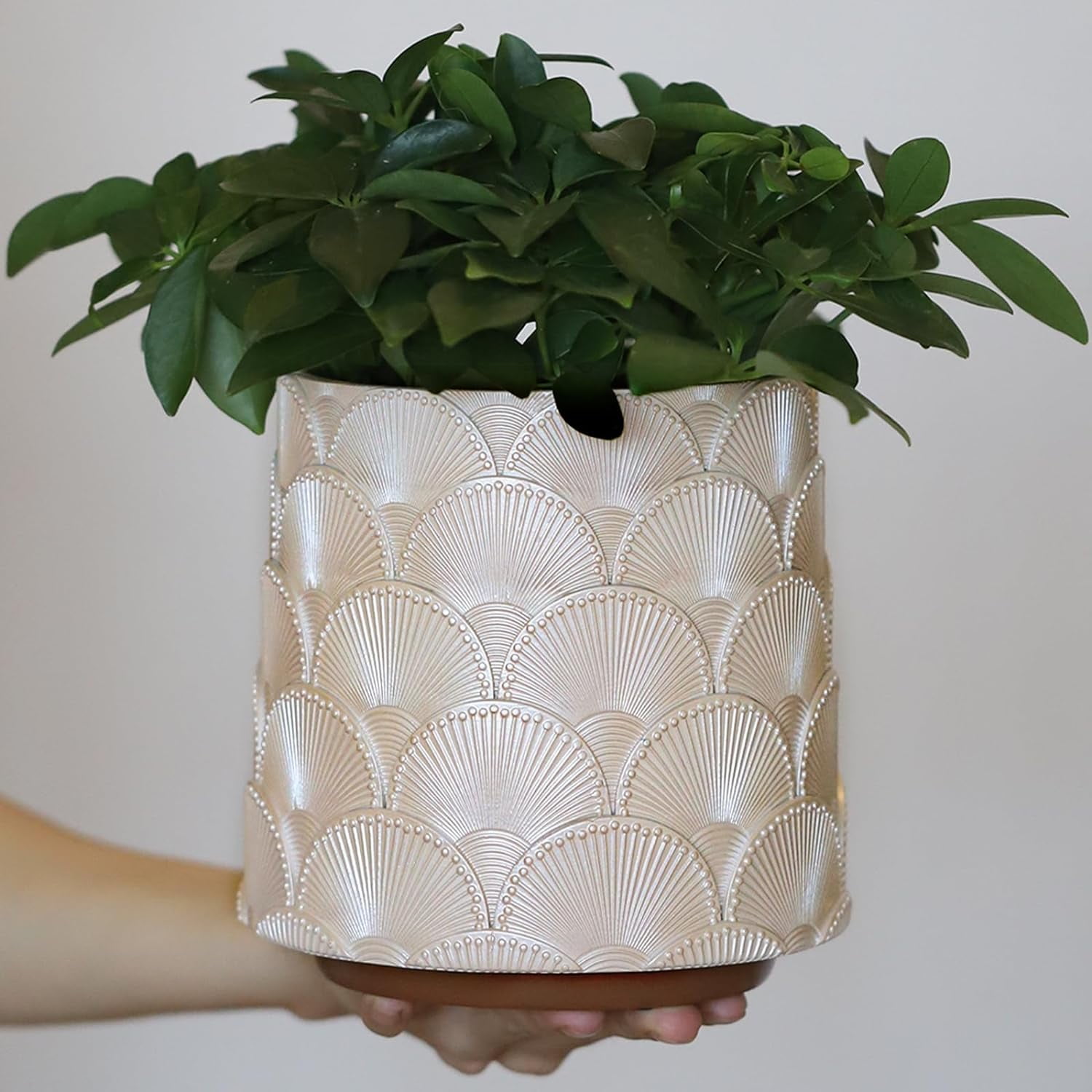 GUGUGO Pearl White Scale Planter, Cute Unique Plant Pot with Drainage, Eclectic Colorful Small Flower Planters Pots for Indoor & Outdoor Plants, Rainbow Funny Succulent Gardening Pot Gifts