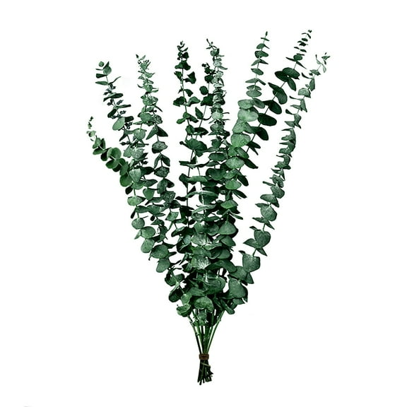 GUIGUI Decorations for Home Fall Decor Leaf Dried Flower Bouquet Natural Air Dried Branches Light Luxury Creative Decorative Ornaments Ins Photo Props (A)