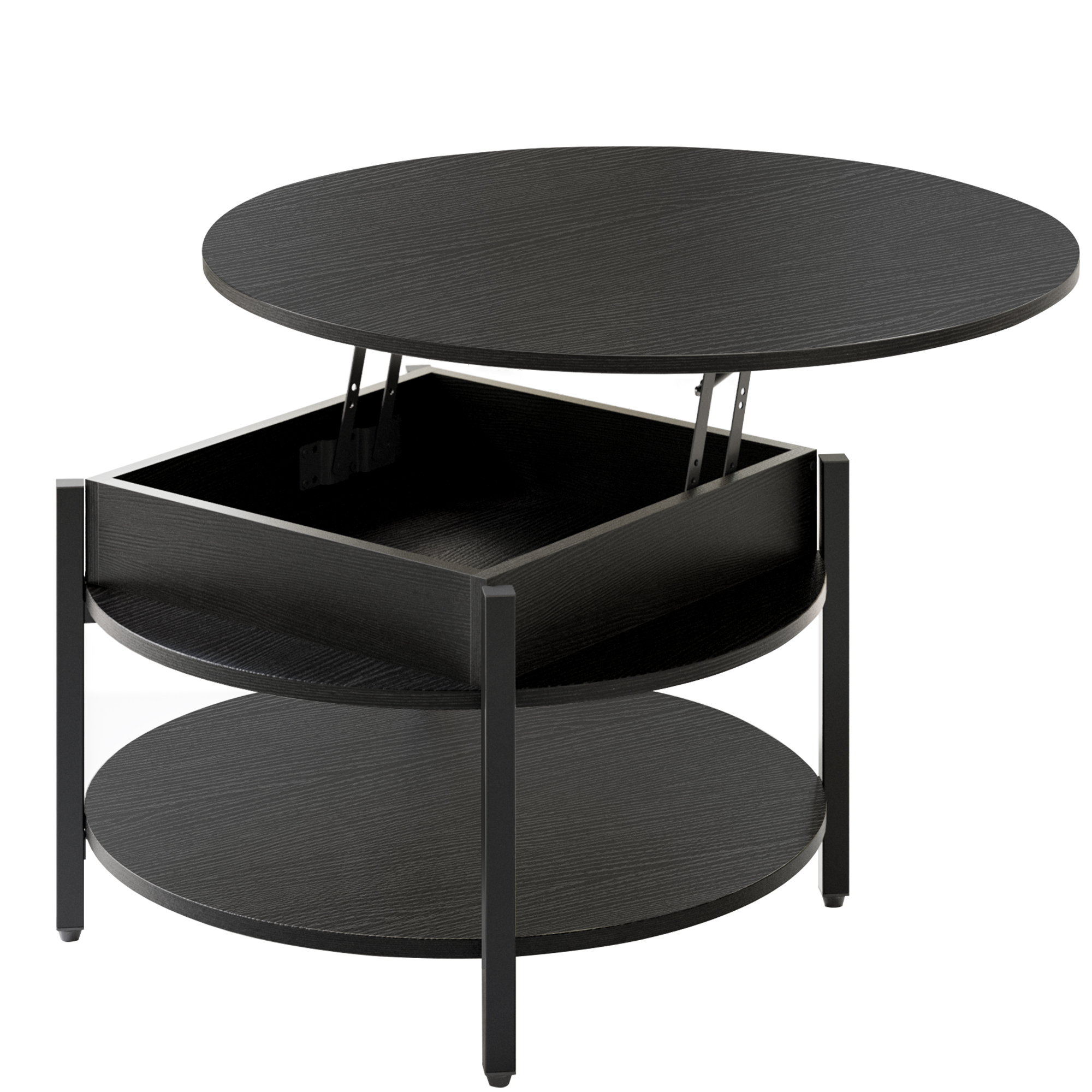 Dextrus Modern Lift Top Coffee Table with Storage, Round Center Tables