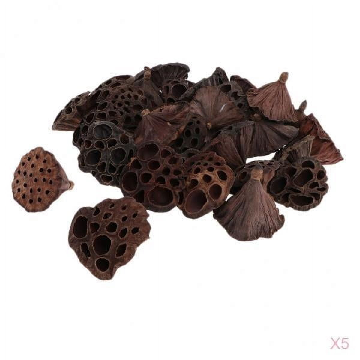 GUOOL 150 Pcs / Set Dried Plant Stems Natural of lotus Dried Flowers Artificial Lotus Flowers for Home Decoration DIY Craft Accessories