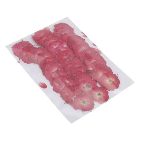 GUOOL 2x 50 Pieces Pressed Flowers Dried Flowers Natural Roses Petals Materials