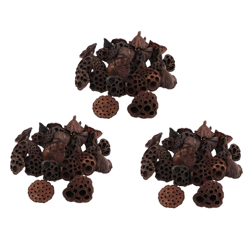GUOOL 3x 30pcs Dried Plant Natural of Lotus Dried Flowers Artificial Flowers for Home Decoration DIY Crafting Accessories