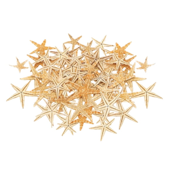 GUOOL Sea Stars DIY Beach decor Cute Shell Beach Decoration Craft DIY Making - 1-5pcs 1-5cm 100pcs