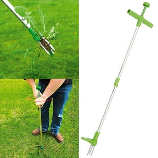 Buy DeWit Weed Popper with Ash Handle 140mm – Biome US Online