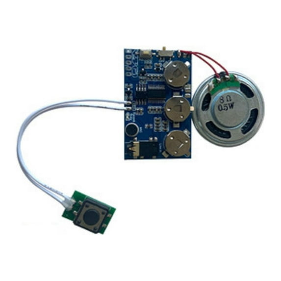 GUYUTING Easy-to-Use Audio Recording Module for Live and Phone Recording for Handmade Items