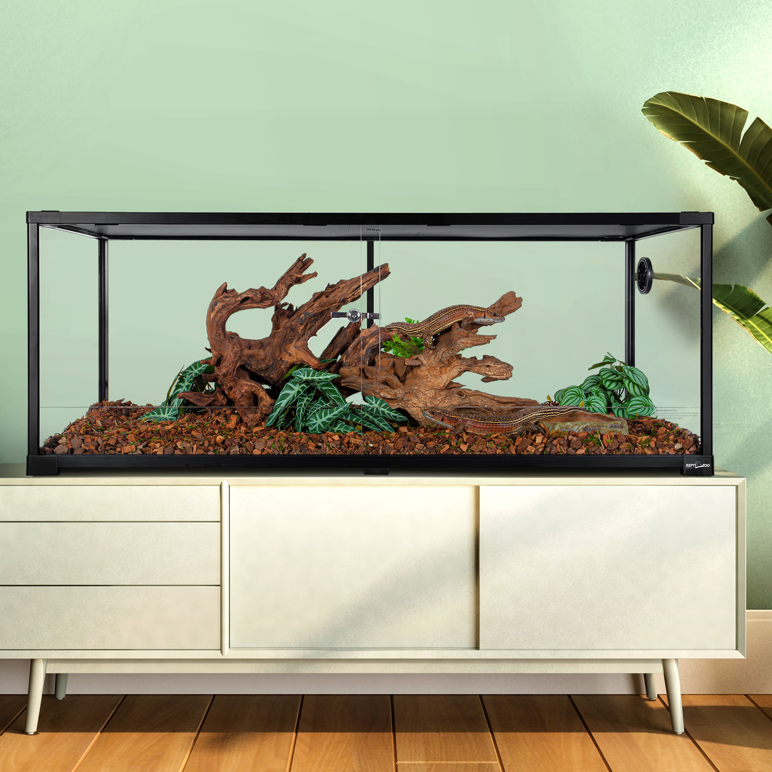 GUZZLO Reptile Glass Tank - 48 x 18 x 18 Inches Knock Down Full View Natural Terrarium