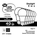 Standard LED Light Bulbs (A19/E26)