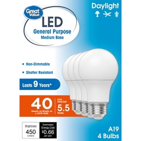 Great Value A19 LED Light Bulbs, 40 Watt Equivalent, Daylight, General Purpose, Medium Base, 9 Year, 4 Pack