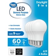 Great Value A19 LED Light Bulbs, 60 Watt Equivalent, Daylight, General Purpose, 9 Year, Medium Base, 4 Pack
