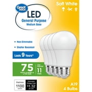 Satisfaction 75 Led 75 Watt LED Bulbs for Home Lighting