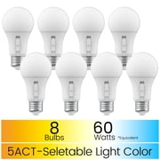 Light Bulbs Small Base