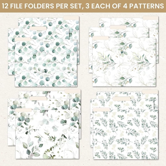 GVDCC-Bloom Daily Planners Decorative File Folders - Set of Twelve Letter Size (8.5 x 11) Organizers, 1/3 Cut Tabs - Assorted Designs - Eucalyptus, 12-Pack