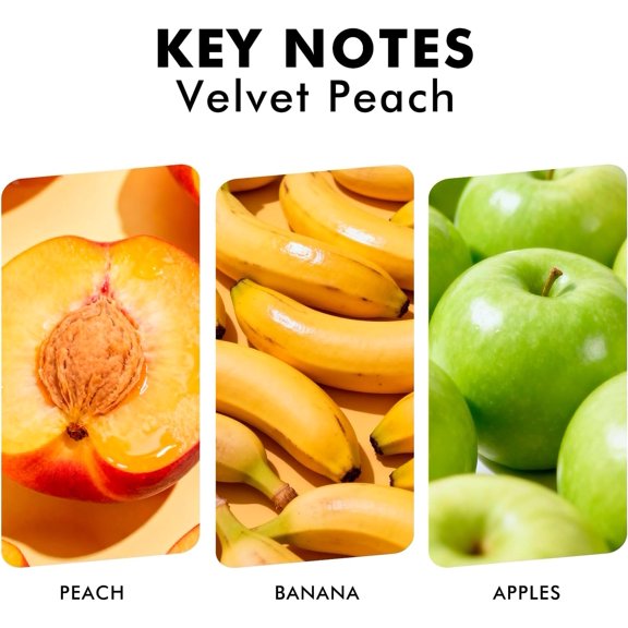 GVDCC-Reed Diffuser Set, Velvet Peach Scent Fragrance Oil Diffuser, Reed Diffusers for Home, Bathroom Air Fresheners & Decor
