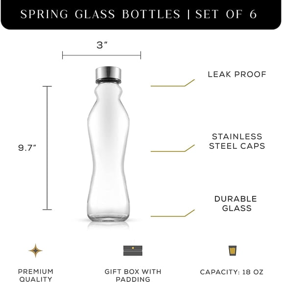 GVDCC-Spring Glass Water Bottles Set of 6-18 oz Glass Bottles with Stainless Steel Caps - Glass Drinking Bottles with Leakproof Lids - Reusable Glass Juice Bottle - Container Bottle Set